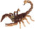 5421-06-scorpion.gif