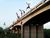 JumpingOffBridgeAfterPigeon.png