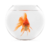 TheGoldfishBowl.png