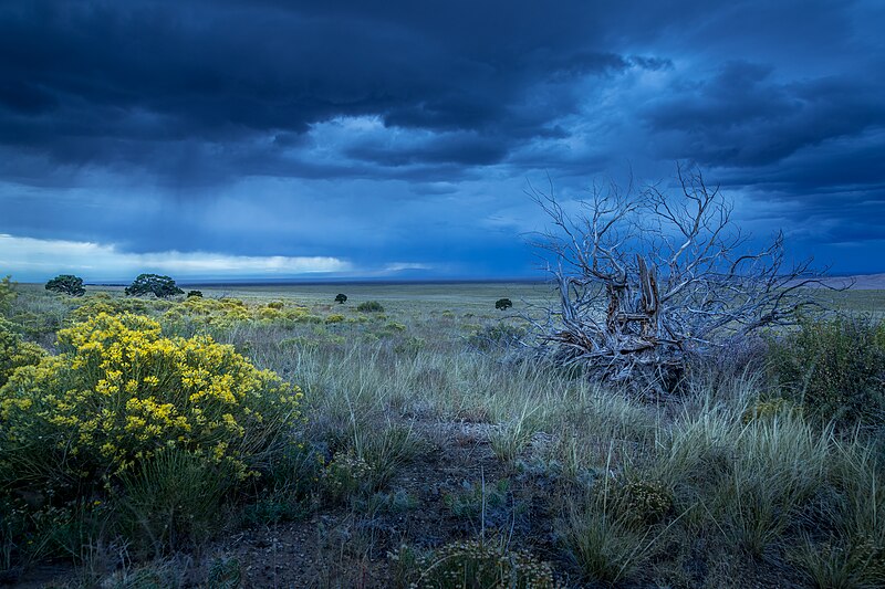 800px-Great_plains_storm_-_Great_Sand_Dunes_National_Park.jpg