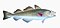 Illustration from The Natural History of British Fishes (1802) by Edward Donovan, digitally enhanced by rawpixel-com 96.jpg