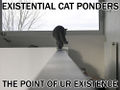 Existential cat.jpg