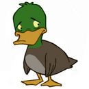 Sad duck.png