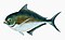 Illustration from The Natural History of British Fishes (1802) by Edward Donovan, digitally enhanced by rawpixel-com 33.jpg