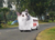 Turkish van.png