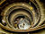 Taking photos at Vatican Museum. Ferragosto 2008.jpg
