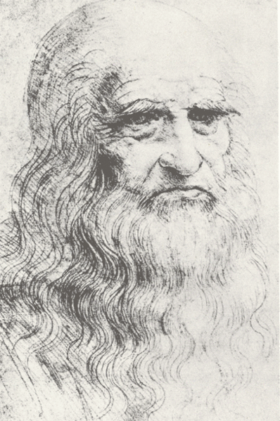 File:Da-Vinci.gif