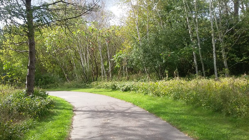800px-Trail_in_Forest_Toronto_2021.jpg