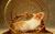Hamster-to-generate-energy-for-mobilephone-450x281.jpg