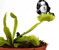 Venus flytrap+Oscar Wilde.jpg