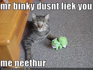 Funny-pictures-cat-and-toy-dislike-you.jpg