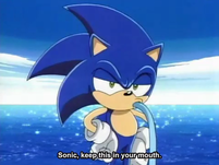 SonicHose.png