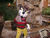 1751983891 95fd11eabb.jpg