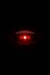 AniROIDKEV.GIF