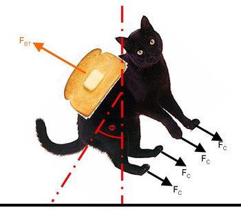 The Toast Cat Diagram