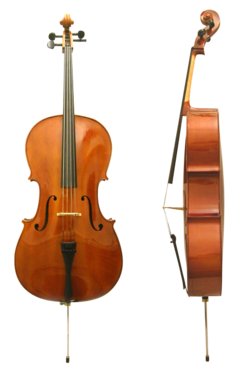 Cello front side.png