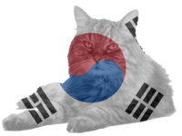 KOREAN FURRY.png