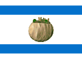 4. An Israeli flag with the famous Falafel in the middle
