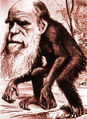 Atbash-charles-darwin-ape.jpg