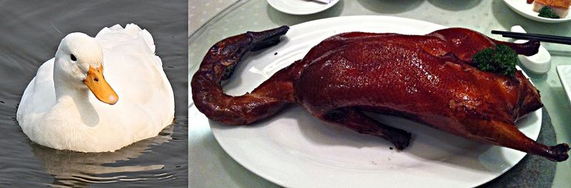 File:Peking-duck-before-after-1.jpg