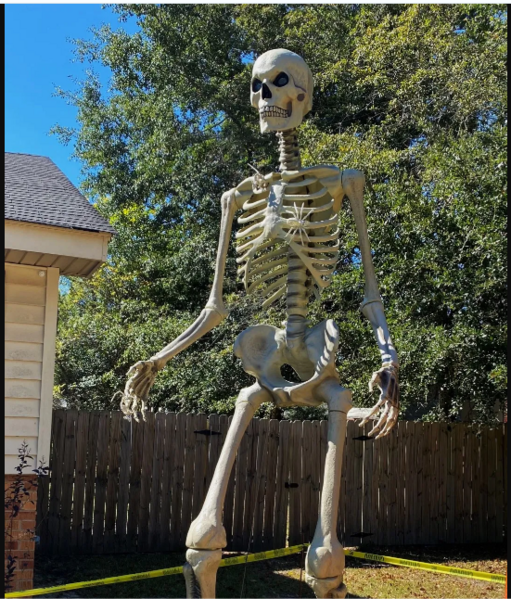 File:Skeleton-in-your-backyard.png