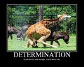 Giraffe DETERMINATION.jpg