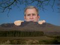 Bush watches over the world.