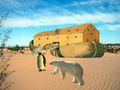 Ark desert.jpg