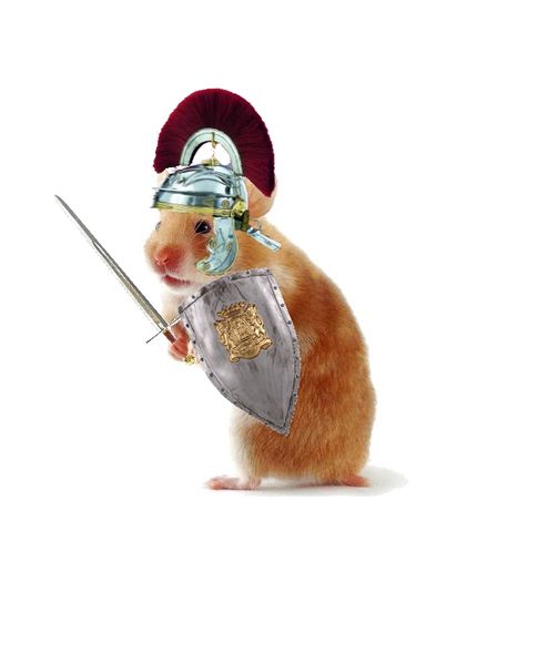 File:Hamster knight.jpg