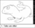 Platypus otter 1.png