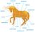 Unicorn meat parts diagram.jpg