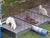 Fieldferret.jpg