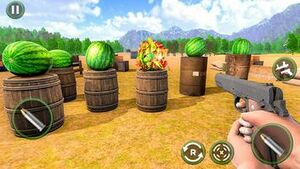 Watermelon shooting range.jpg