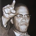 ... that Malcom X absolutely loved Kentucky Fried Chicken? (Pictured)