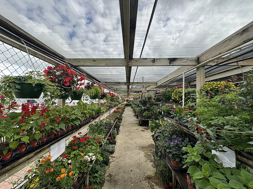 File:Plant store.jpg