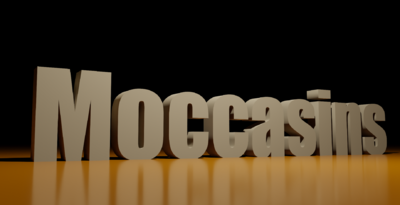 MOCCASINS 3d text.png
