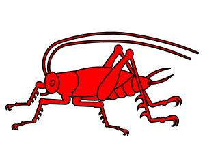 Cricket in profile.svg