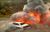 Carexplode.jpg