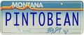 Pinto license plate