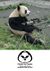 Pandas-need-guns.jpg