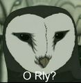 Avatar-O rly Owl.jpg