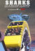 Sharks on a roller coaster.jpg