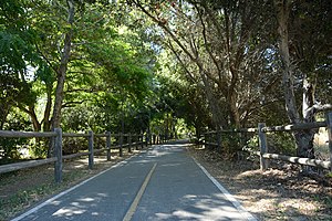 Ventura River Trail (aka Ojai Valley Trail) at Foster Park.jpg
