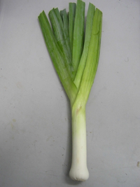 Leek.PNG