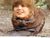 Beaver.jpg