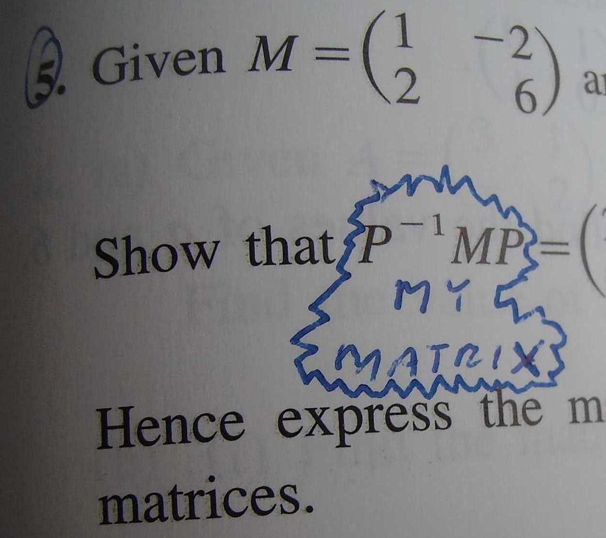 P1MP My Matrix Uncyclopedia, the contentfree encyclopedia