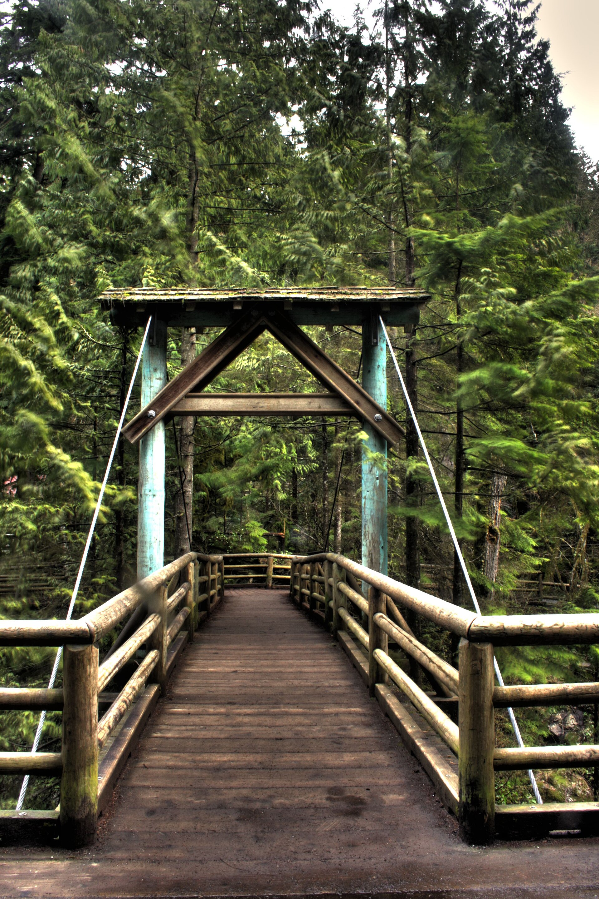 Footbridge Capilano Park Vancouver British Columbia Canada 02.jpg