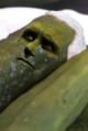Mike Pence pickle (crop).png