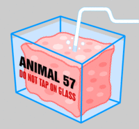 Animal57.gif