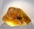 Beetle-in-amber.jpg